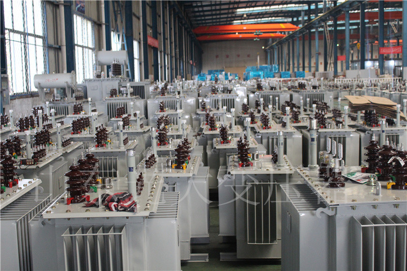 滁州S22-800KVA/10KV